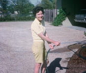 1964 Faylese.jpg